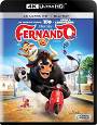 Fernando (4K UHD + Blu-ray)