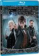 Fantastic Beast: The Crimes of Grindelwald [Blu-ray]