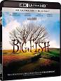 Big Fish (UHD 4K)